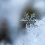 Winter Holiday - focused photo of a snow flake