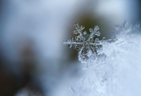 Winter Holiday - focused photo of a snow flake