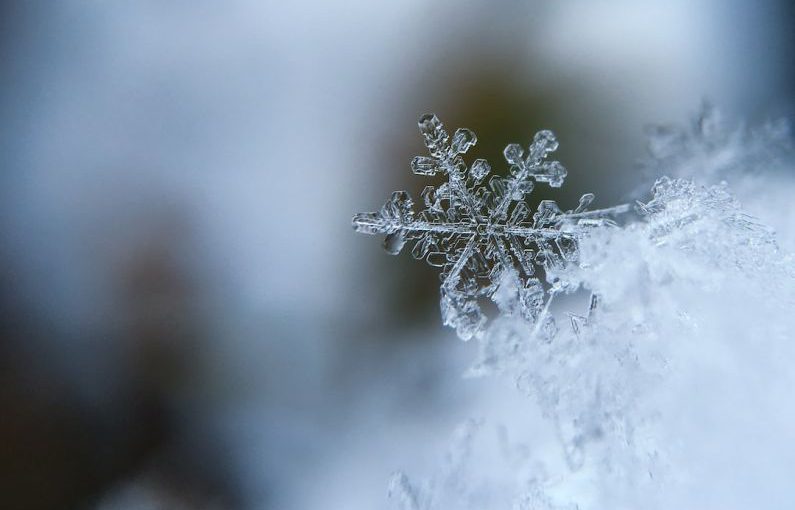 Winter Holiday - focused photo of a snow flake