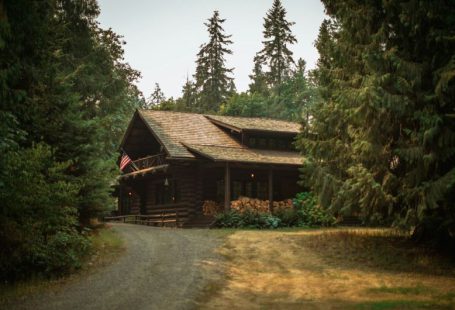 Cabin Woods - pathway towards brown wooden house during daytime