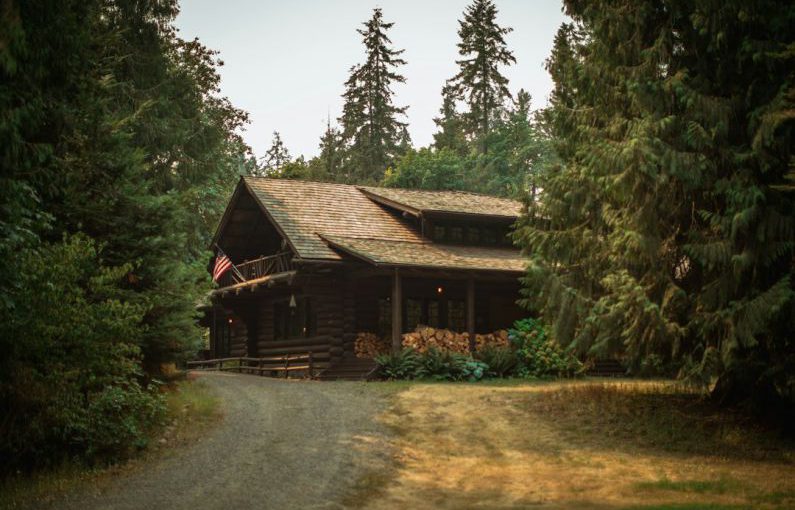 Cabin Woods - pathway towards brown wooden house during daytime