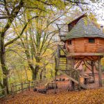 Treehouse - brown wooden house near green trees during daytime
