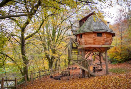 Treehouse - brown wooden house near green trees during daytime