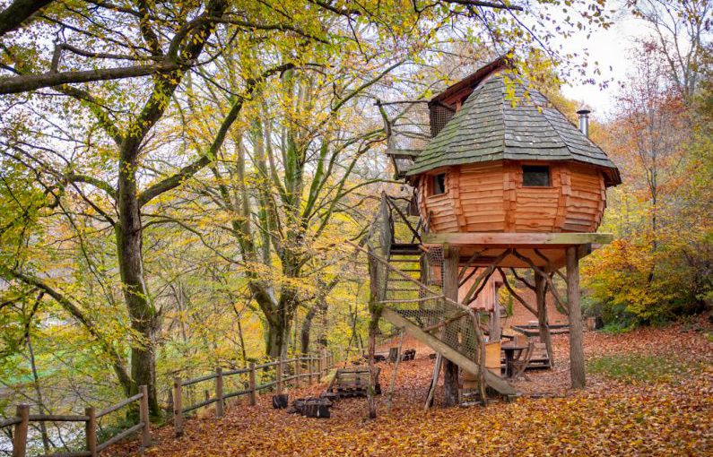 Treehouse - brown wooden house near green trees during daytime