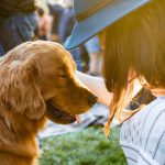 Pet-friendly - closeup photography of woman holding adult golden retriever