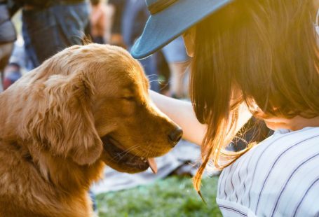 Pet-friendly - closeup photography of woman holding adult golden retriever