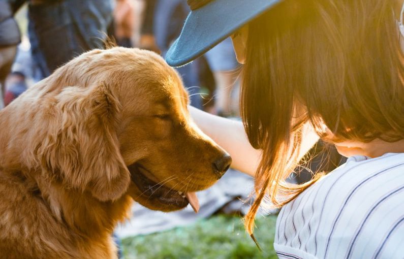 Pet-friendly - closeup photography of woman holding adult golden retriever