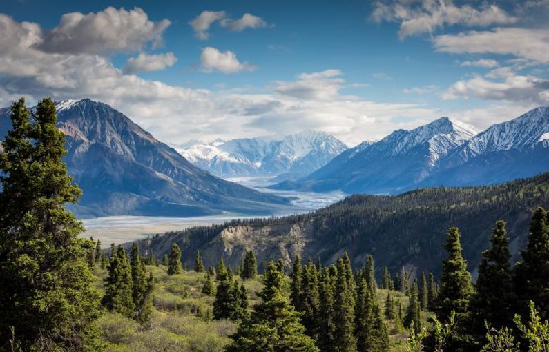Mountain View - green mountain across body of water