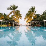Resort - green palm trees near swimming pool during daytime