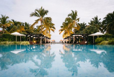 Resort - green palm trees near swimming pool during daytime