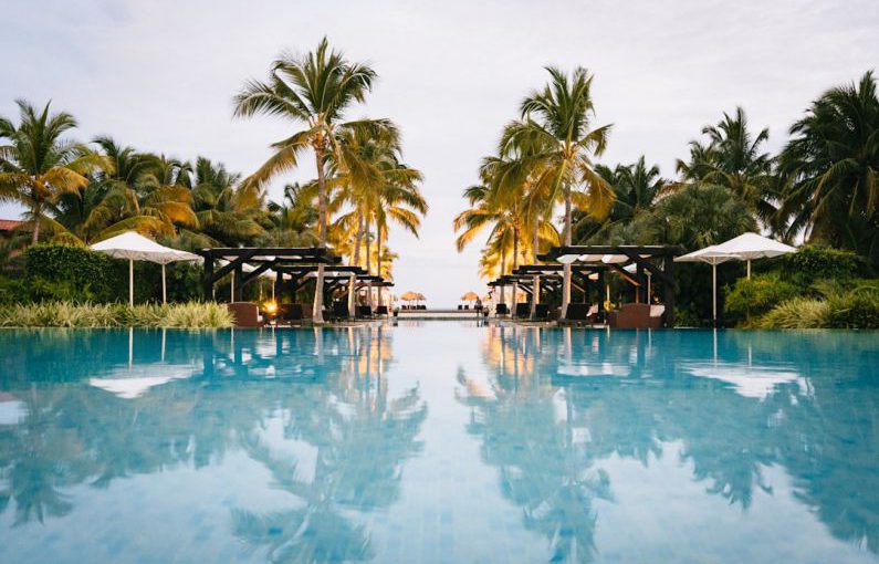 Resort - green palm trees near swimming pool during daytime