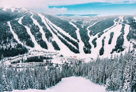 Ski Slopes - aerial view photography of snow village