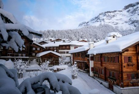 Ski Resort - brown wooden houses