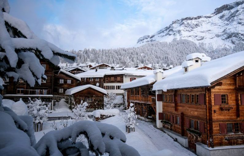 Ski Resort - brown wooden houses