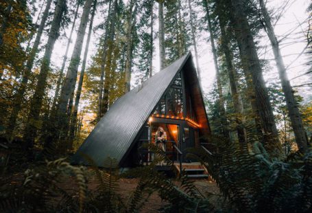 Airbnb - brown wooden house in the woods