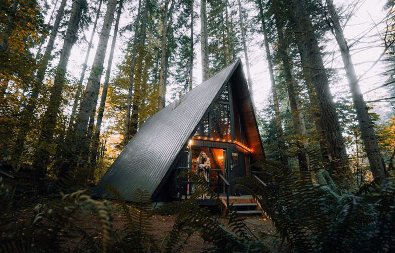 Airbnb - brown wooden house in the woods