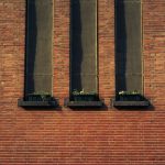 Long-term Rental - three potter plants on window