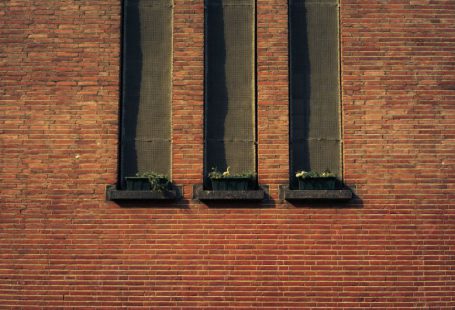 Long-term Rental - three potter plants on window