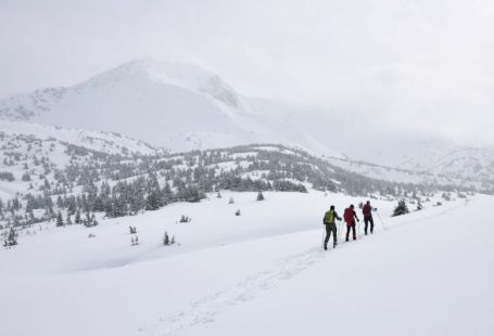 Backcountry - three people walking on snow