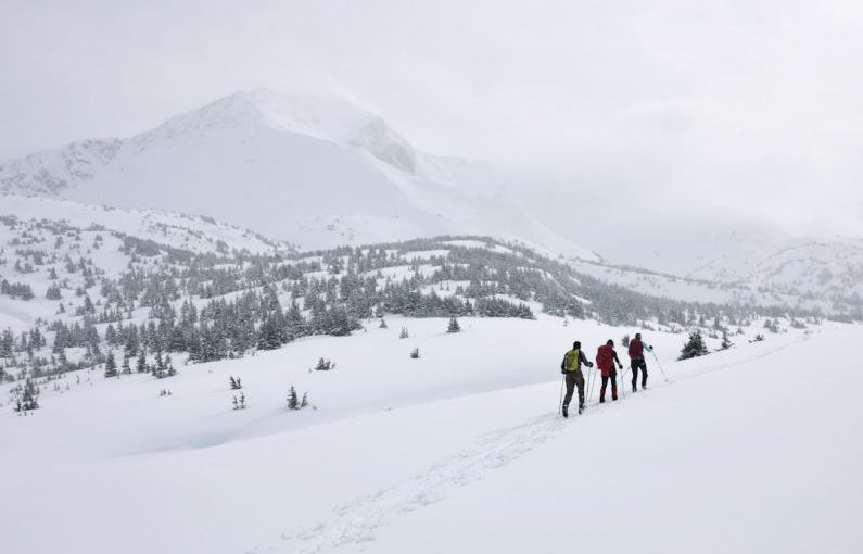 Backcountry - three people walking on snow
