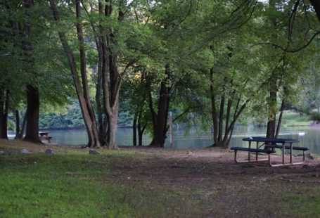 Picnic Spot - a picnic table in a park next to a lake