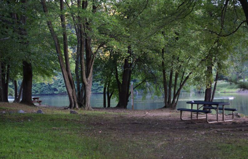 Picnic Spot - a picnic table in a park next to a lake