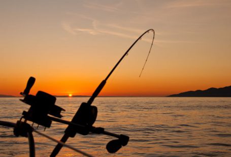 Fishing - black fishing rod and body of water during golden hour