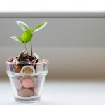 Savings - green plant in clear glass cup