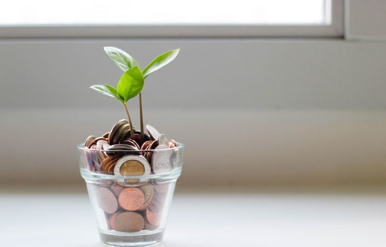 Savings - green plant in clear glass cup